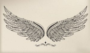 image of a pair of wings